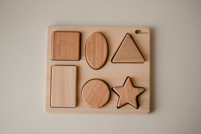 Qtoys Chunky Shape Puzzle