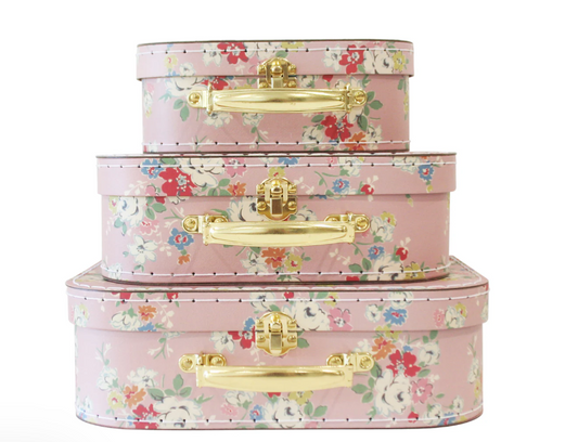 Alimrose Kids Carry Case Set - Rose